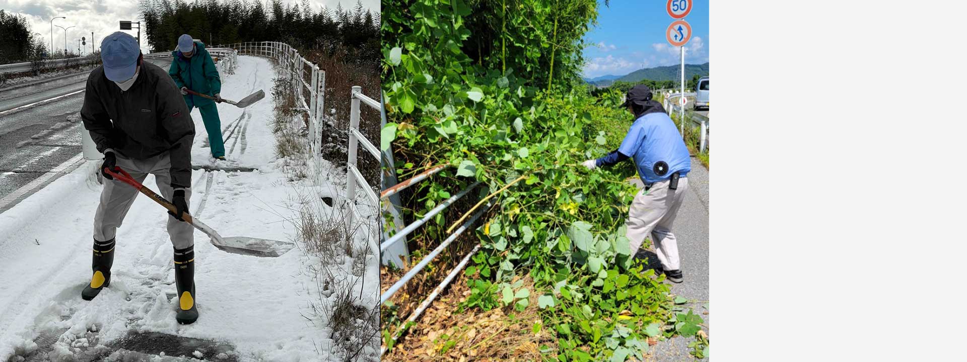 クリーンアップ活動