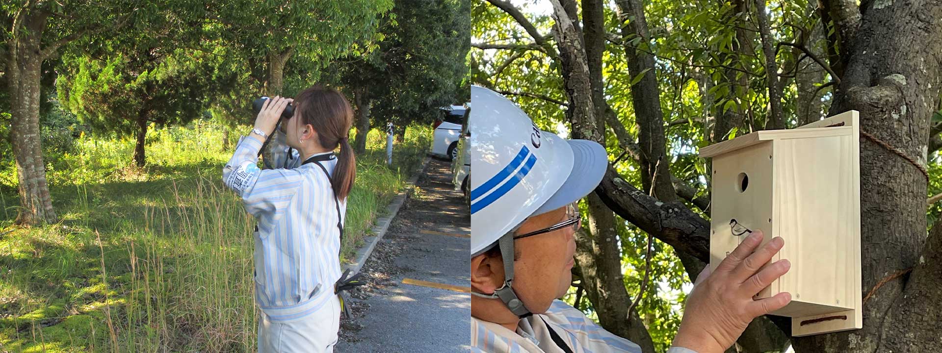 クリーンアップ活動